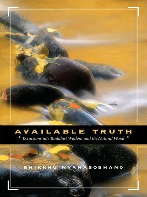 cover image of Available Truth